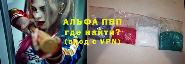 стаф Володарск
