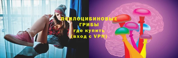 стаф Володарск