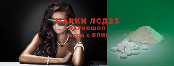 стаф Володарск