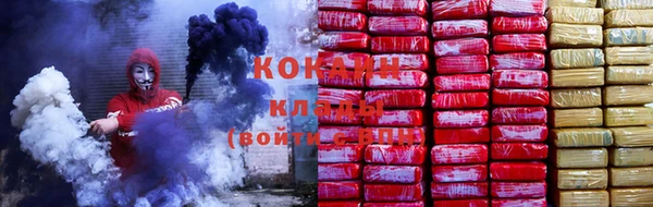 стаф Володарск