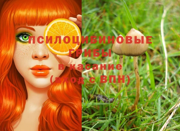стаф Володарск
